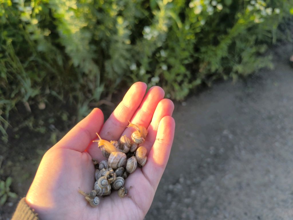 улитка🐌 смотреть онлайн