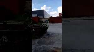 лето