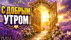 С Добрым Летним Утром Необычные 🌞 Нежные Открытки