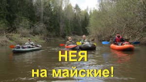 Нея на майские! Сплав по реке Нея Костромская область в мае 2026г, на пакрафте Чайка и байдарках.