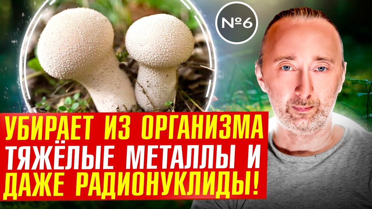 Очищение организма. Как вывести все токсины?