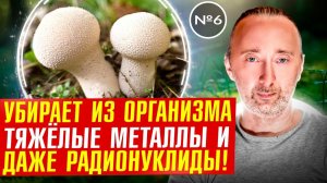 Очищение организма. Как вывести все токсины?