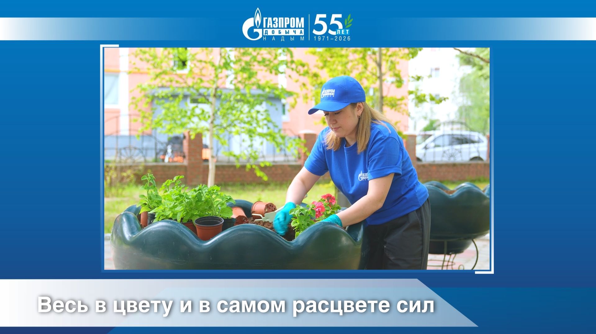 Весь в цвету и в самом расцвете