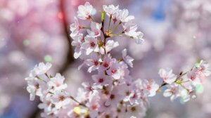 Истории из жизни | Аудио рассказы | Он привёз дочери куклу, которую она проси    | Жизненные истории