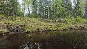Рыбалка на хариуса 7.06.2026