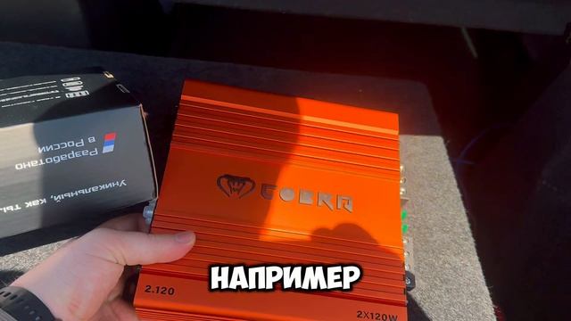 Бюджетный громкий звук? DL AUDIO Cobra 2.120