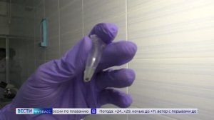 В Кузбассе с начала сезона активности клещей за медицинской помощью обратились уже 16 636 человек
