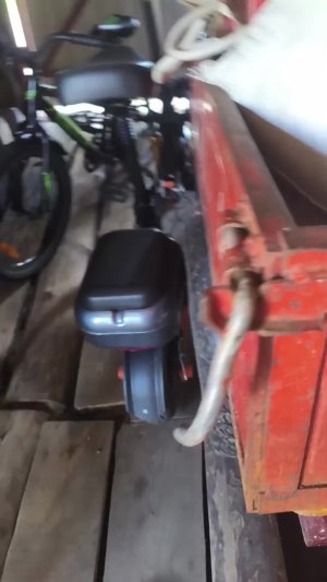 смотор