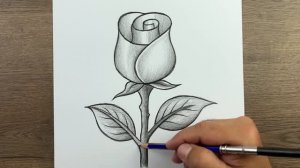 Как легко нарисовать розу карандашом — пошаговое руководство по рисованию простого цветка