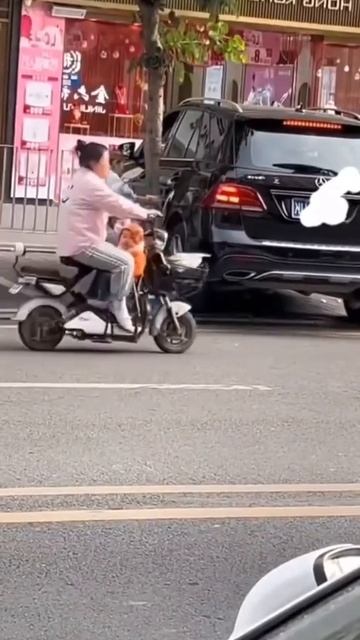 Опасная женская логика