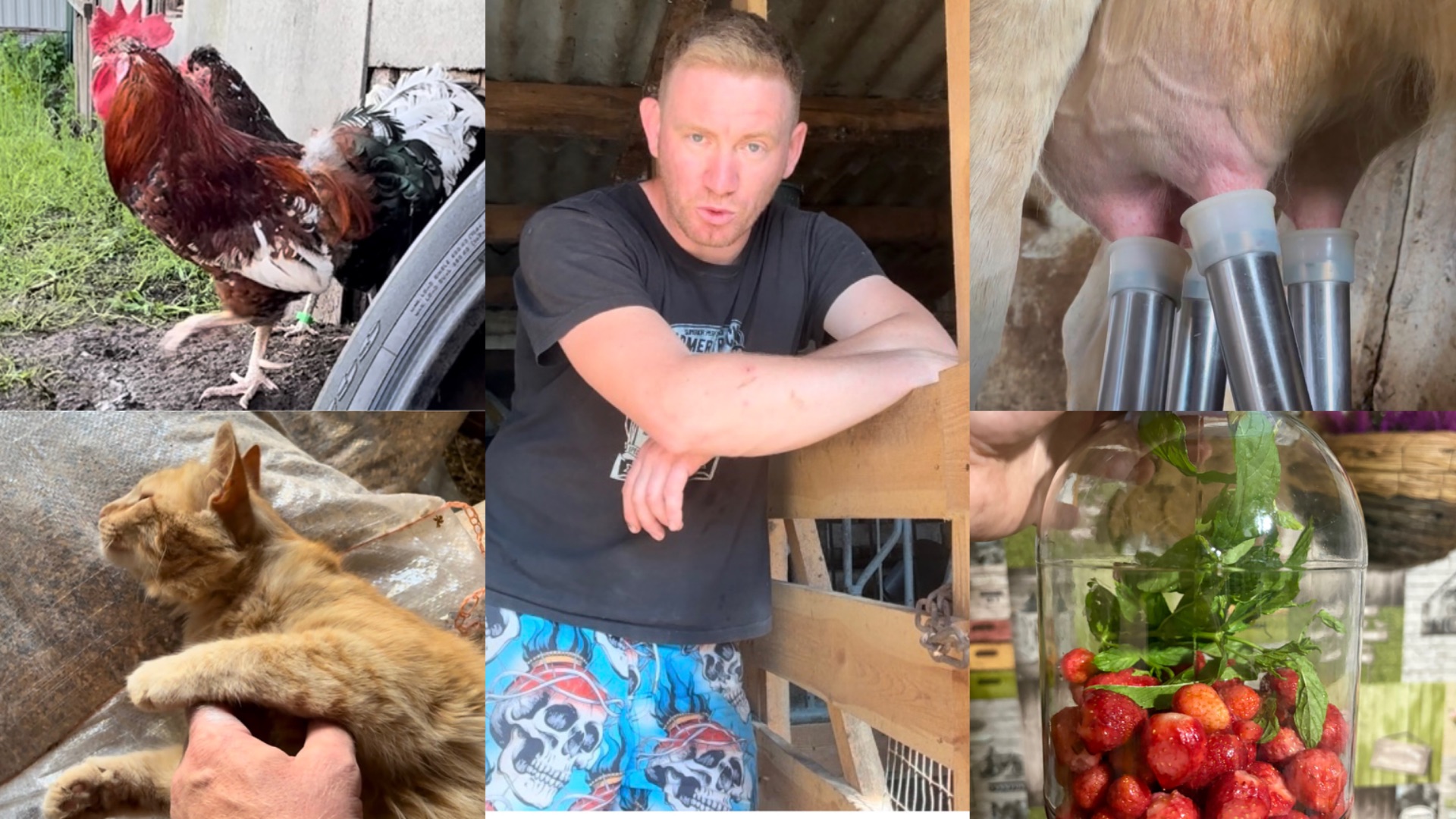ПРОДАЮ МОЛОКО В МАГАЗИНЕ// КЛУБНИЧНЫЙ МАХИТО НА ЗИМУ МАКСИМАЛЬНО ПРОСТО// ДЕРЕВЕНСКИЕ БУДНИ смотреть онлайн