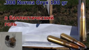Как работают пули .308 Norma Oryx 180 gr. в баллистическом геле ?! Обзор пули до и после выстрела!!!