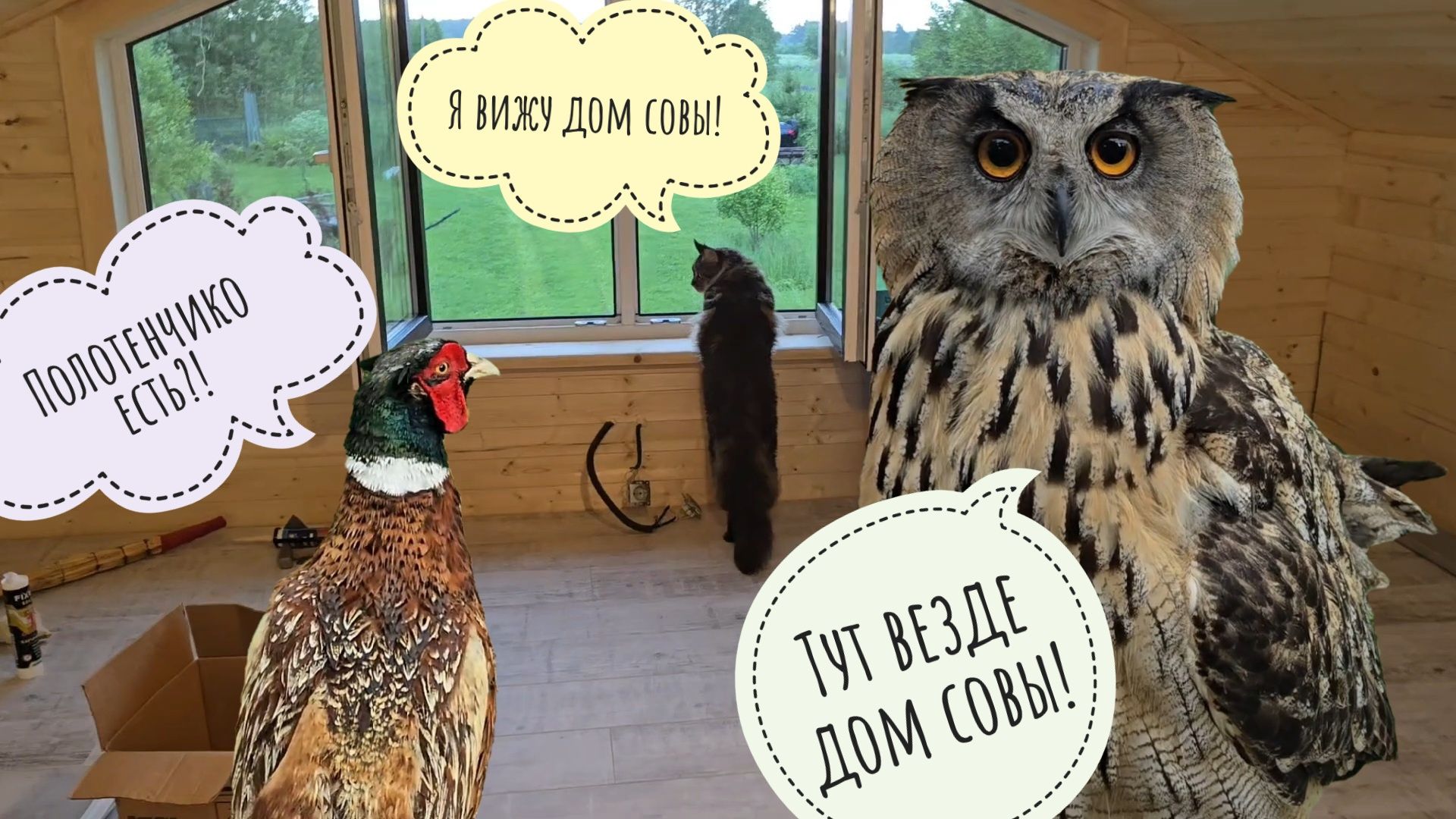 Чердак достроен, проверен бурей и кошкой Морошкой! Сова Ёль намочила ухи, а фазана надо выжимать смотреть онлайн