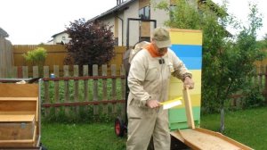 Работа 11. Забираем магазин с медом.