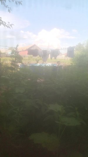 оо