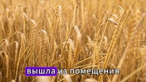 Истории из жизни | Аудио рассказы | Аудиокниги слушать онлайн | Жизненные истории