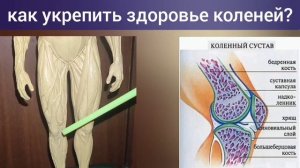 Как разжать зажатую главную артерию ноги? Укрепляем тазобедренные суставы, колени, стопы