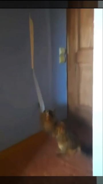 Настоящий отморозок смотреть онлайн