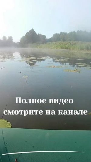 Не слушайте лже учителей которые уводят от истины.