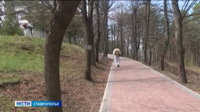 Клещи активно начали охоту на ставропольцев смотреть онлайн