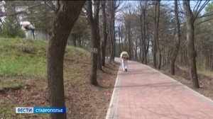 Клещи активно начали охоту на ставропольцев