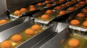 Как на самом деле работают эти машины, подборка производств.