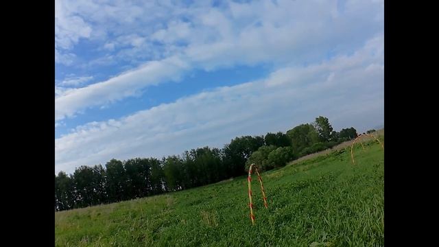 Треня_16062026 смотреть онлайн