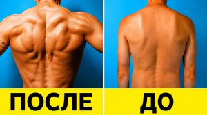 4 лучших упражнения для спины | Домашняя тренировка с гантелями