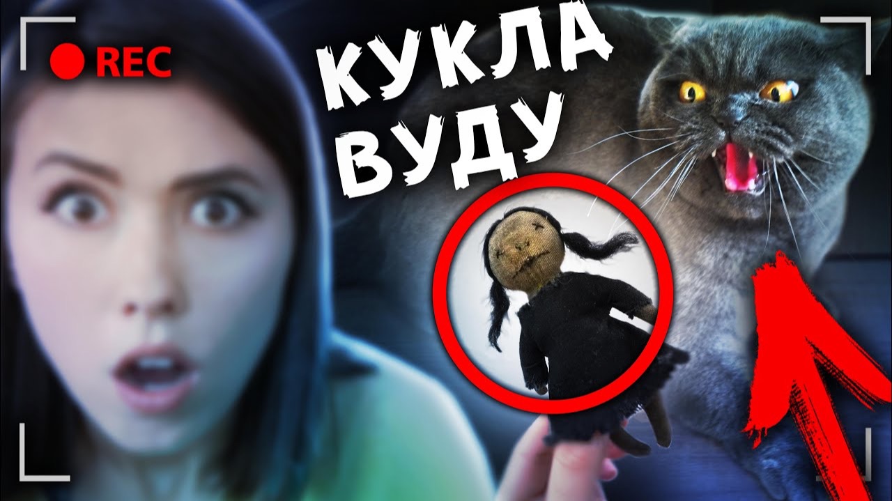 СКРЫТАЯ КАМЕРА сняла РЕАКЦИЮ КОШКИ на КУКЛУ ВУДУ 24 часа чтобы выжить АЛОЯ ВЕРА смотреть онлайн