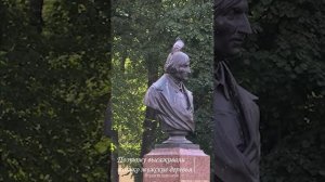 Пух в городе