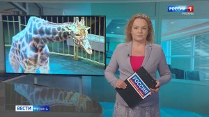 Эфир от 16.06.2026 (09:30)