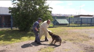 Специалист тюменской кинологической службы вошел в десятку лучших в РФ
