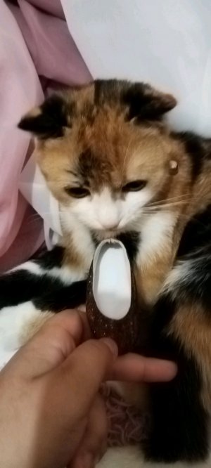 жди