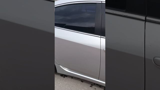 1000031764.mp4 смотреть онлайн