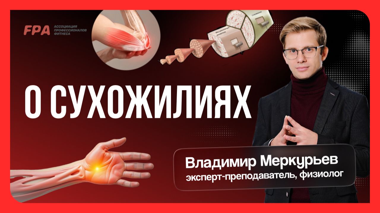 О сухожилиях | Владимир Меркурьев (FPA) | Бесплатный курс «Персональный тренер» смотреть онлайн