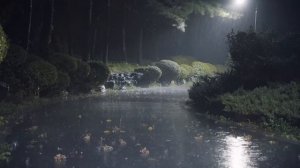 Звук дождя для сна, снятия стресса 🌧️ Засыпай как младенец