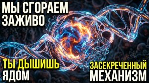 Вы не дышите. Вы медленно сгораете изнутри. Тайна кислорода.