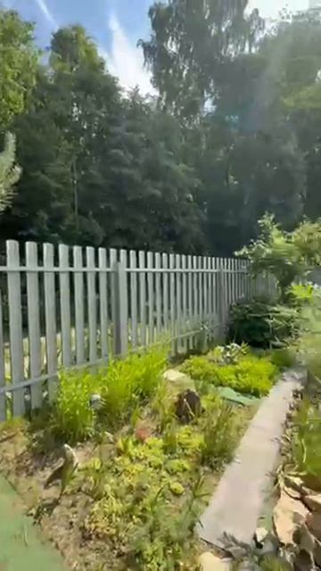 Видео
