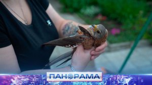 ⚡️«Молодая Гвардия Единой России» в ДНР помогает приюту для диких животных