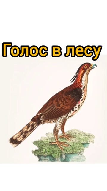 Голос в лесу | Стихи детям | С. Я. Маршак | Стихи для малышей на ночь 😴 #Стихотворения #Детям #Стих