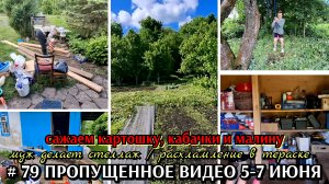 #79 расхламление / муж делает стеллаж / сажает огород / жаба