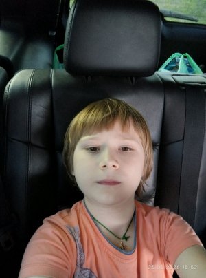 путешествие в деревню