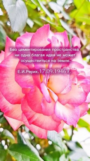 Е.И.Рерих. Цементирование пространство