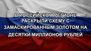 В российском регионе раскрыли схему с замаскированным золотом на десятки миллионов рублей