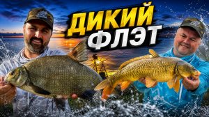 Рыбалка мечты на Карповском вдхр: от заката до рассвета. Еле подняли садок!