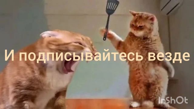 891.mp4