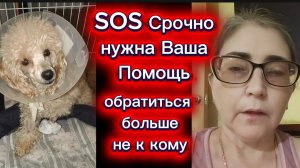 Нужна Ваша Помощь Друг познается в беде