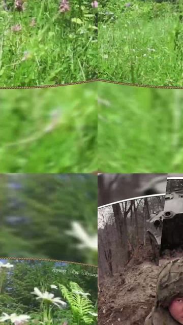 Земля родная смотреть онлайн