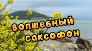 Волшебный  саксофон, удивительно красивая музыка для души