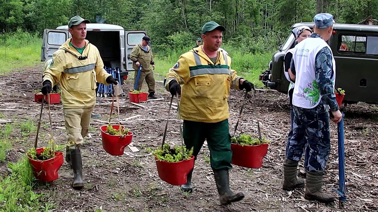 Сразу несколько регионов сегодня присоединились к акции "Сад памяти" смотреть онлайн